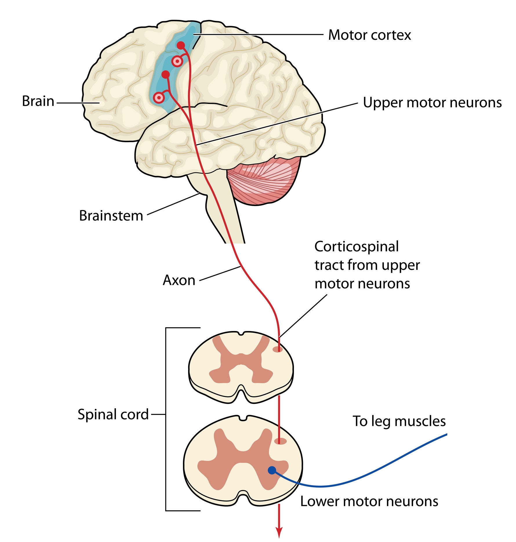 image of motor control system
