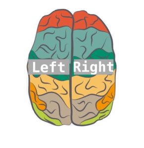 image of the brain and two hemispheres