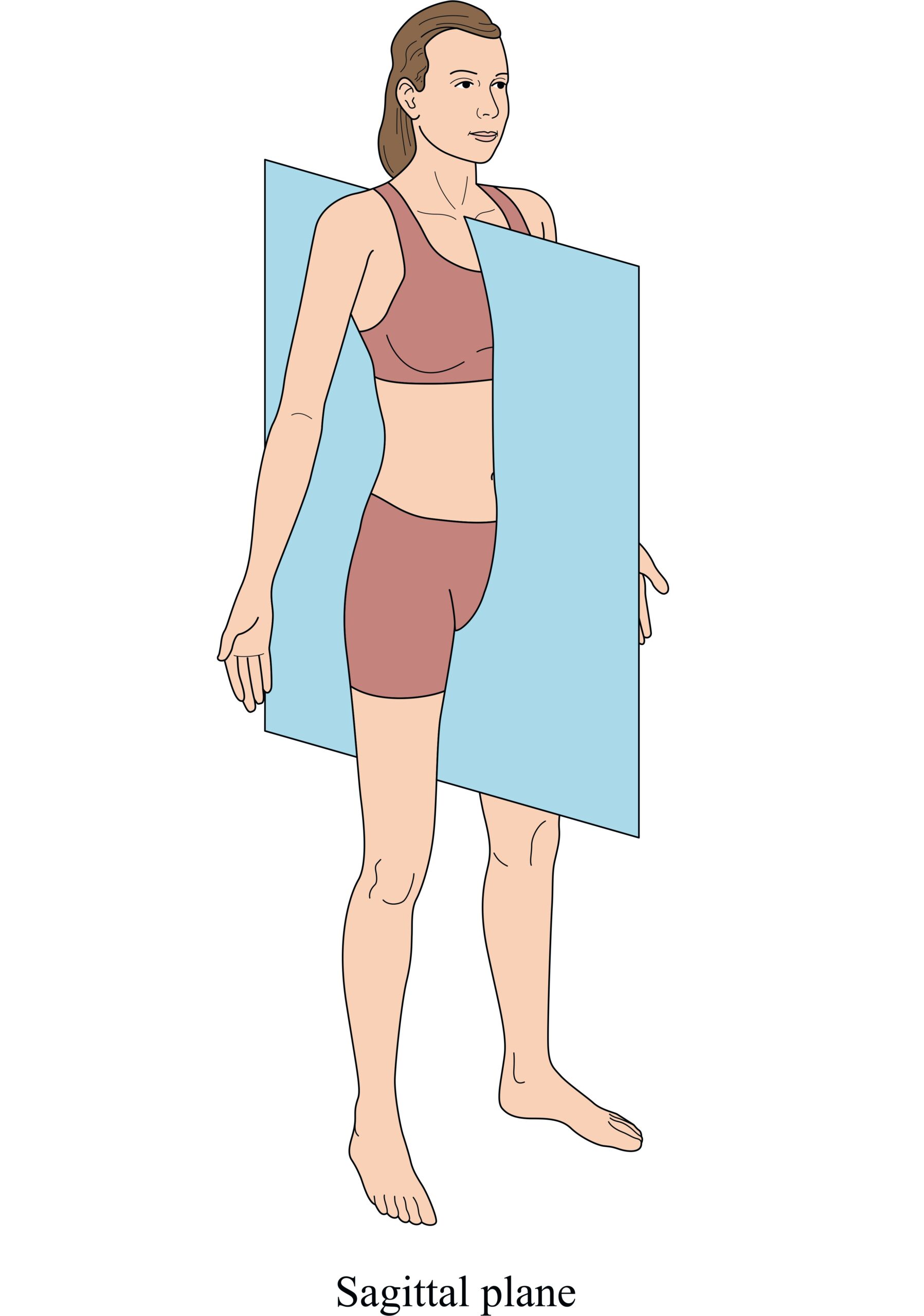 image of the sagittal plane