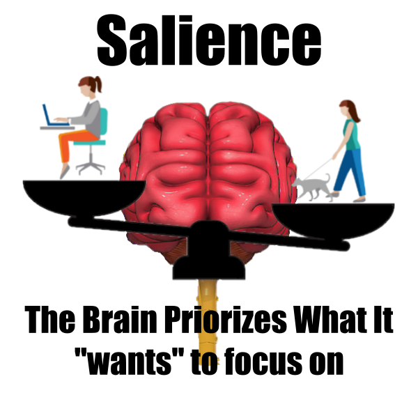 vector image of salience