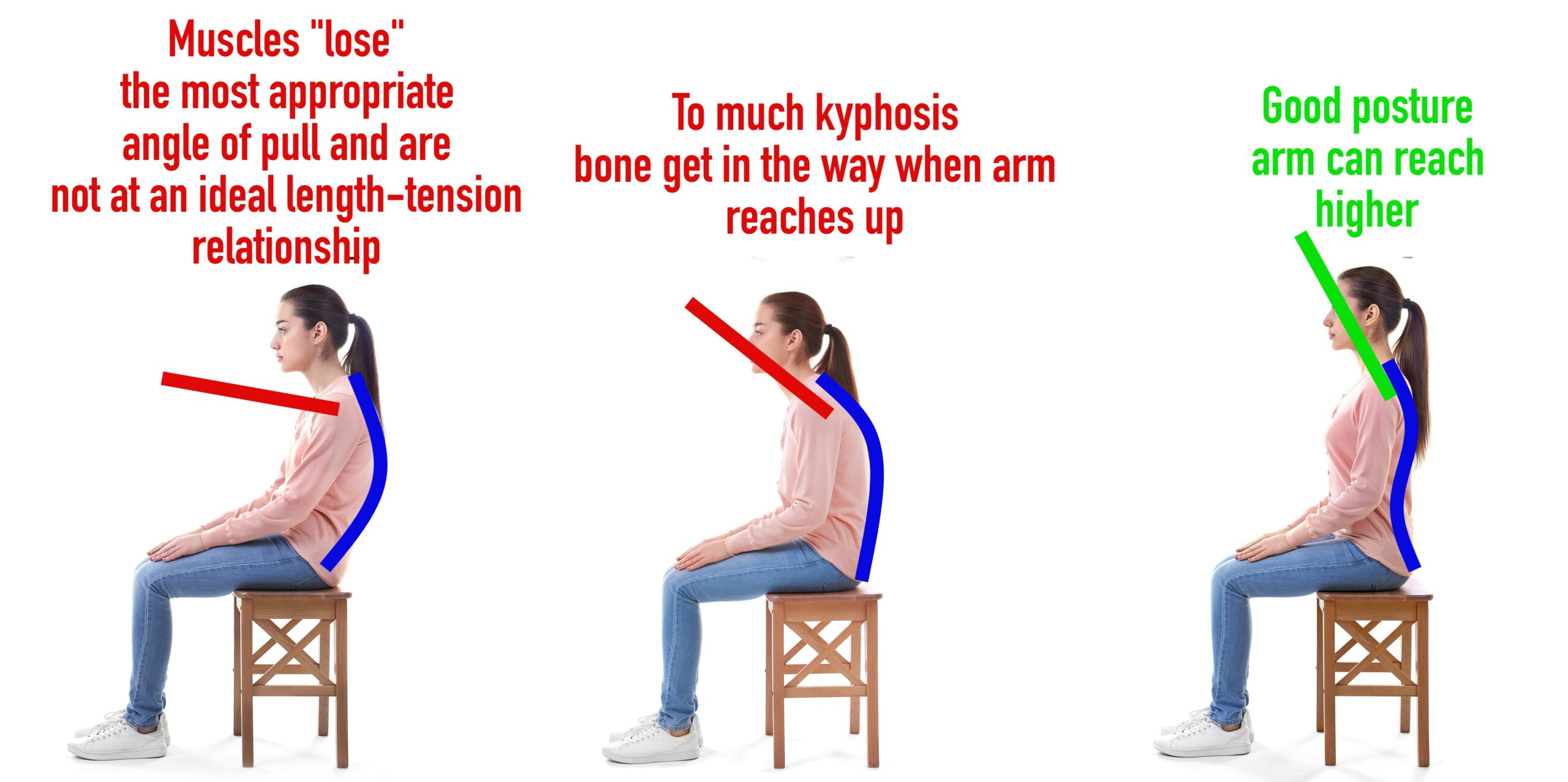 image of correct and incorrect trunk alignment