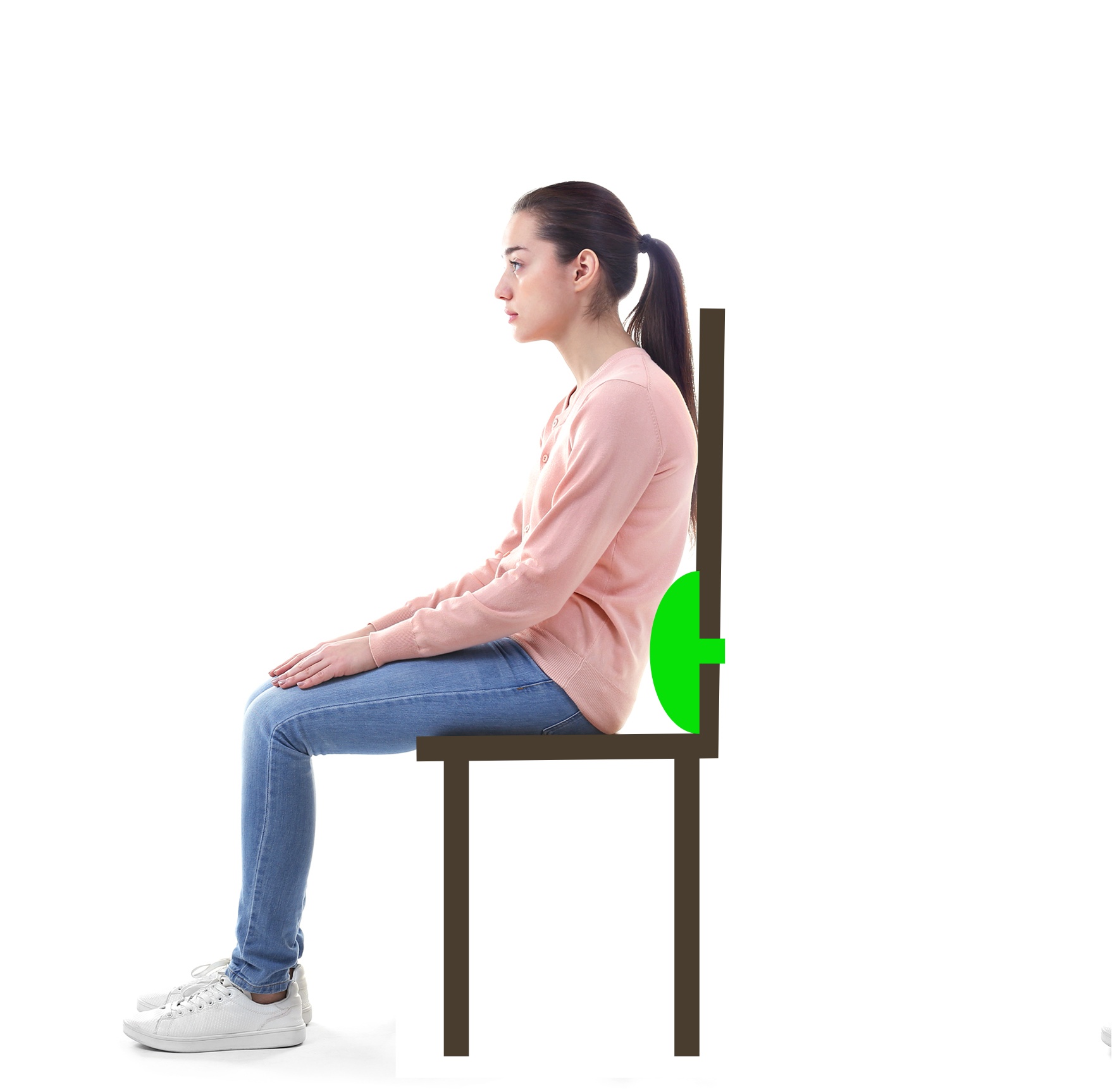 lumbar roll 
