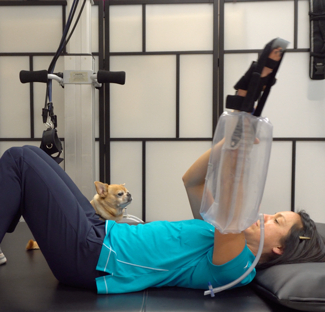 movement retraining 2